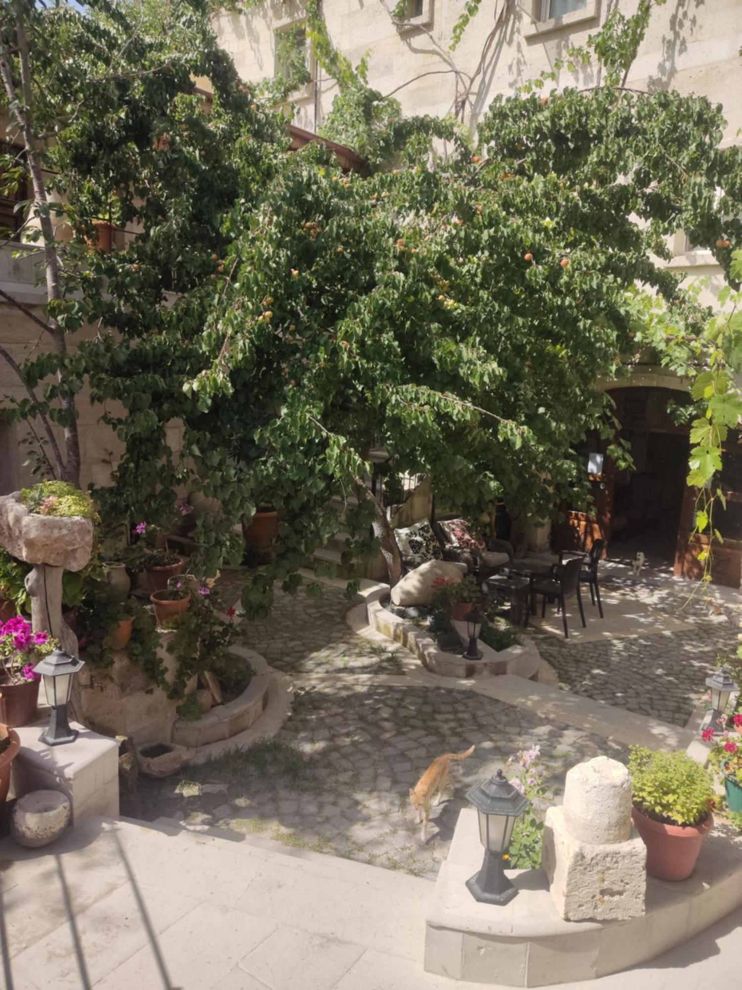 Luwian Stone House Hotel Göreme Kültér fotó
